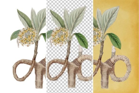 Download Vintage Flower Wall Art Printable - Wall art printable Collection