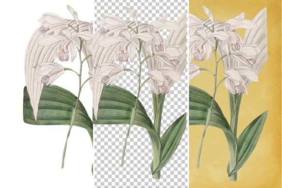 Download Vintage Flower Wall Art Printable - Wall art printable Collection