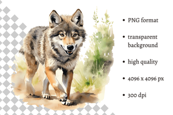 Download Watercolor Wolf Illustration - Wolf Collection
