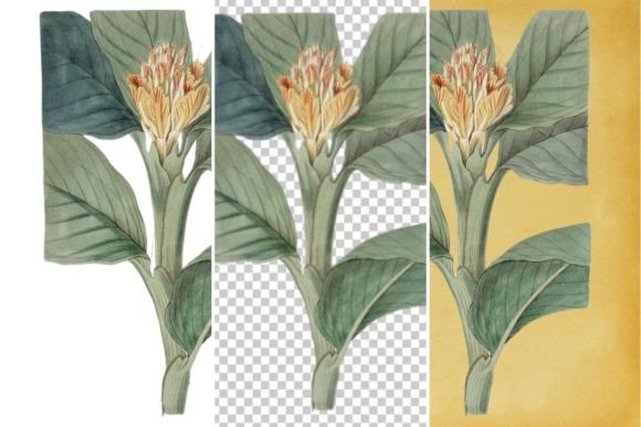 Download Vintage Flower Wall Art Printable - Premium Resources