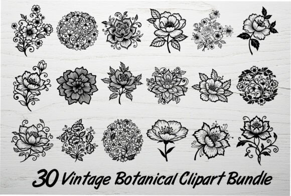 Download 30 Vintage Botanical Clipart Bundle - Botanical clipart bundle Collection