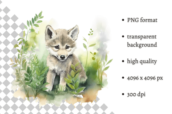 Download Watercolor Wolf Illustration - Wolf Collection