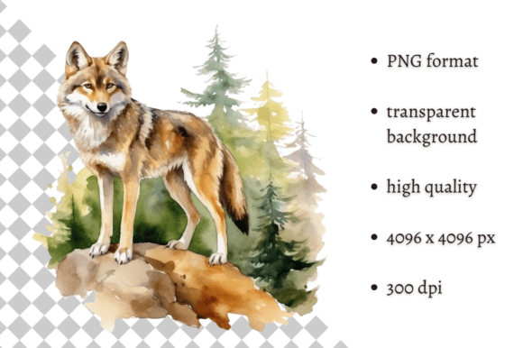 Download Watercolor Wolf Illustration - Wolf Collection