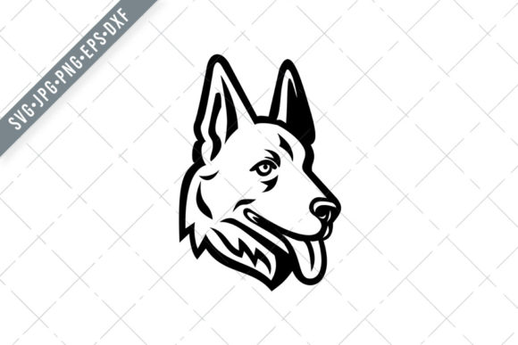 Download Head of a German Shepherd Alsatian Wolf - Wolf Collection