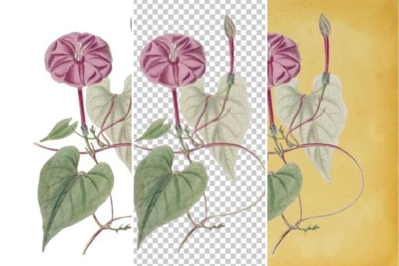 Download Vintage Flower Wall Art Printable - Wall art printable Collection