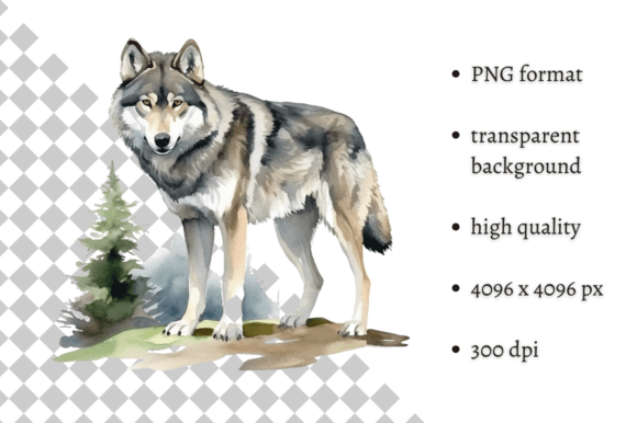 Download Watercolor Wolf Illustration - Wolf Collection