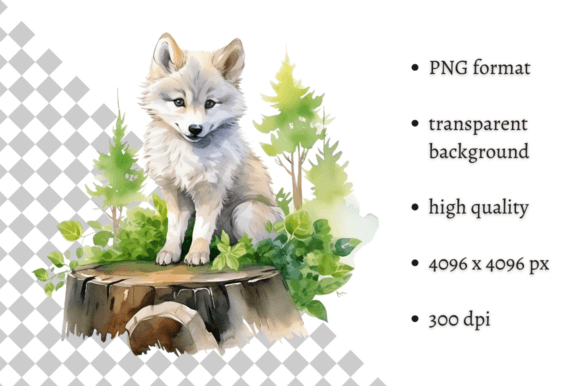 Download Watercolor Wolf Illustration - Wolf Collection
