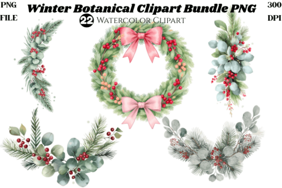 Download Winter Botanical Clipart Bundle PNG | - Botanical clipart bundle Collection
