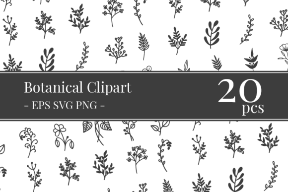 Download Botanical Clipart Bundle - Botanical clipart bundle Collection