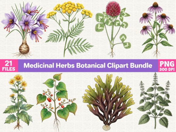 Download Medicinal Herbs Botanical Clipart Bundle - Botanical clipart bundle Collection