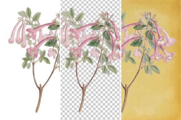 Download Vintage Flower Wall Art Printable - Premium Bundle