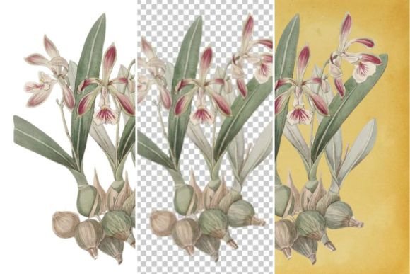 Download Vintage Flower Wall Art Printable - Wall art printable Collection