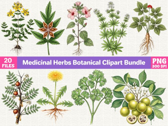 Download Medicinal Herbs Botanical Clipart Bundle - Botanical clipart bundle Collection